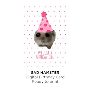 Tarjeta de cumpleaños digital de hámster triste / Impresión en casa / Postal de sombrero de fiesta rosa / Meme viral de las redes sociales / Sólo soy una cumpleañera