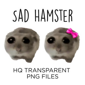 Puede incluir: Dos ilustraciones de hámsteres de dibujos animados con grandes ojos tristes. Un hámster tiene un lazo rosa. El texto "SAD HAMSTER" está encima de los hámsteres y "HQ TRANSPARENT PNG FILES" debajo.