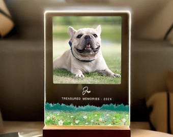Custom Pet Memorial Photo Light, Meadow Forest Remembrance Lamp, Personalized Dog or Cat Loss Gift, Pet Portrait LED Night Light, PLG23