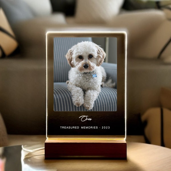 Light Up Pet Memorial Plaque, Personalized Gifts for Pet Loss, Sympathy Gift for Dog, Dog Loss Gift, Cat Loss Gift, Pet Loss Gift, PLG01