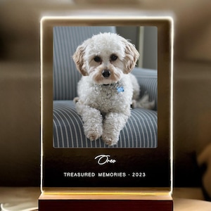 Light Up Pet Memorial Plaque, Personalized Gifts for Pet Loss, Sympathy Gift for Dog, Dog Loss Gift, Cat Loss Gift, Pet Loss Gift, PLG01