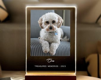 Light Up Pet Memorial Plaque, Personalized Gifts for Pet Loss, Sympathy Gift for Dog, Dog Loss Gift, Cat Loss Gift, Pet Loss Gift, PLG01