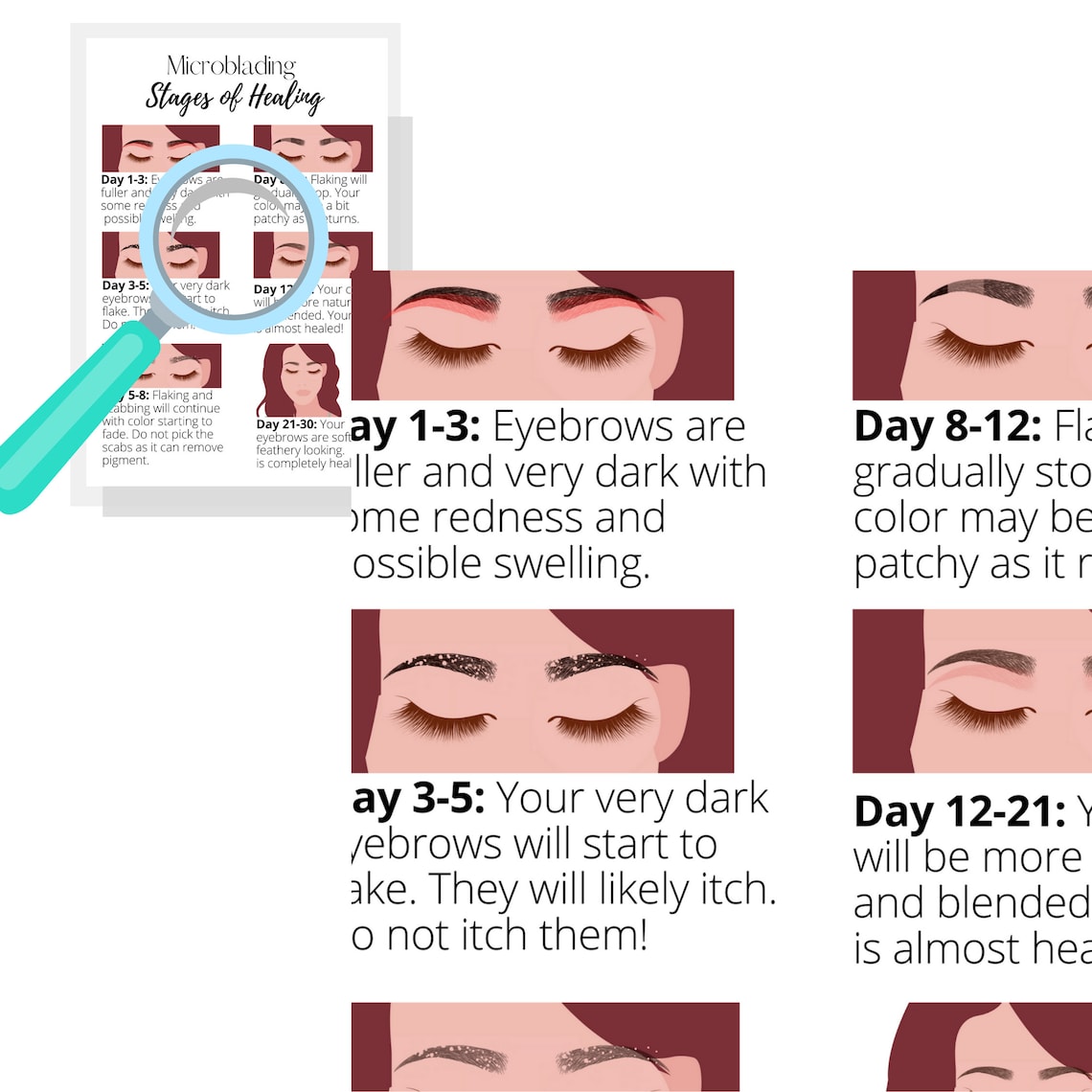 Microblading Stages of Healing & Aftercare Card Digital | Etsy