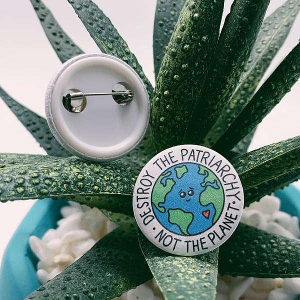 destroy the patriarchy not the planet button pin