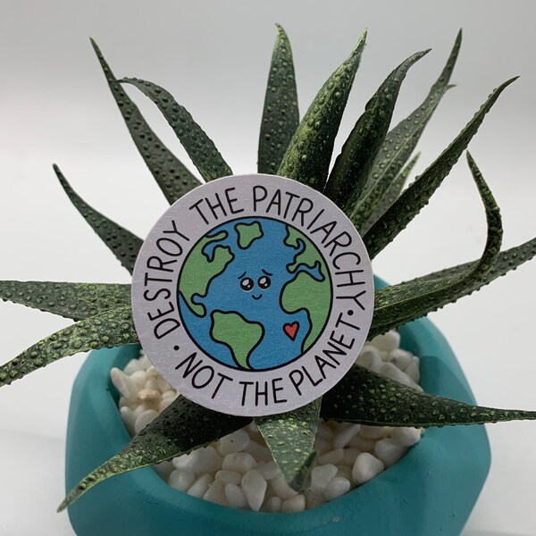 destroy the patriarchy not the planet sticker