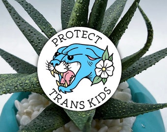 protect trans kids sticker