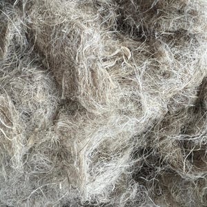 Puede incluir: Primer plano de un montón de fibras de color marrón claro y blanco. Las fibras son largas y delgadas, y están enredadas.