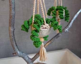 Crocheted mini hanging plant in a sweet hanging basket, boho decoration hanger