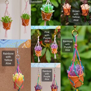 Puede incluir: Un par de pendientes hechos a mano con plantas en macetas en miniatura que cuelgan de cordones de macram&eacute;. Los pendientes est&aacute;n disponibles en varios colores, incluyendo rosa, verde, morado, amarillo y arco&iacute;ris. Las plantas incluyen suculentas y aloe.