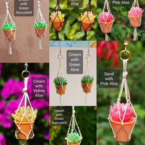 Puede incluir: Un conjunto de seis pares de pendientes de macram&eacute; hechos a mano con plantas suculentas de diferentes colores. Los pendientes est&aacute;n hechos con hilo de macram&eacute; de color crema y presentan una variedad de colores, incluyendo verde, amarillo, rosa y marr&oacute;n. Los pendientes son perfectos para a&ntilde;adir un toque de naturaleza a cualquier atuendo.