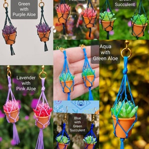 Puede incluir: Un par de pendientes hechos a mano con plantas en maceta en miniatura con suculentas y aloes de diferentes colores. Los pendientes est&aacute;n hechos con cuerda de macram&eacute; y tienen un borla en la parte inferior. Las plantas est&aacute;n en peque&ntilde;as macetas de terracota.