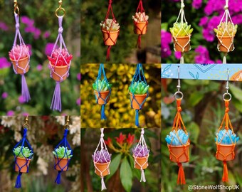 Mini Macramé Plant Hanger Earrings | Customisable Miniature Cactus Pot | Potted Succulent Aloe Miniatures Knotted Jewellery