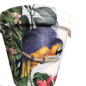 May include: White ceramic planter featuring a colourful parrot and tropical foliage design. The parrot is blue, yellow, and green with a white beak. The foliage is green and pink.
