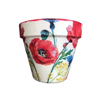 May include: A floral-patterned plant pot featuring red poppies, blue cornflowers, and yellow wildflowers against a white background. A small ladybird is also visible. The rim is painted red, adding a splash of colour to this garden-themed pot.