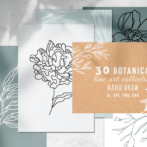 Floral clipart line art, Flowers line art clipart, Botanical clipart, Wildflowers clipart, Line art botanical, Hand drawn flower png