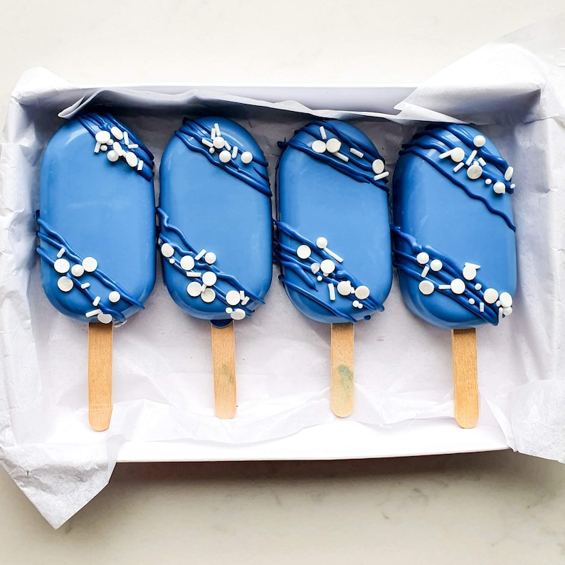 Chocolate Covered Cakesicles Box of 4 Unique Gift Treat Etsy UK