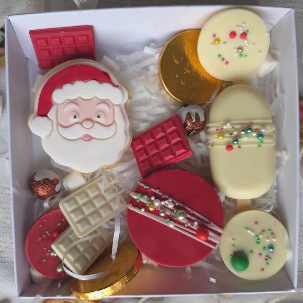 Christmas Cookie Gift Treatbox Cakesicle Xmas Biscuit Gift Children Xmas Eve Chocolate Cakesicle Present Cookie For Grandparent Biscuit