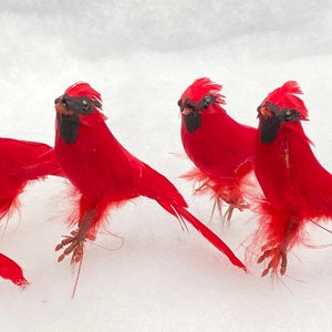 Oiseaux Artificiels Cardinal Rouge Sur Le Nid Oiseaux A Etsy Oiseaux Artificiels Cardinal Rouge Sur Le Nid Oiseaux A Etsy