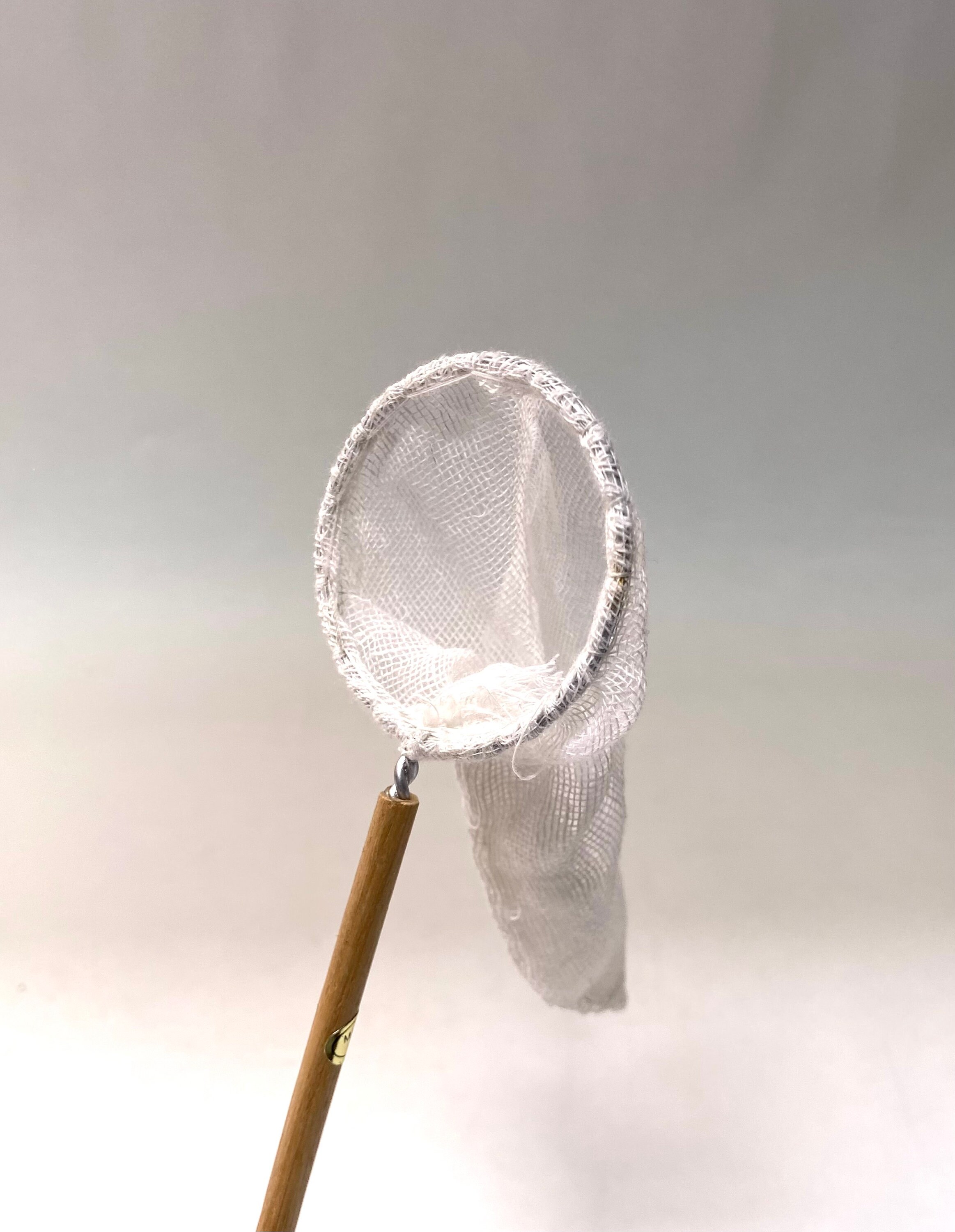 Small Bug Net Miniature Insect Net, Butterfly Net Set of 6 - Etsy