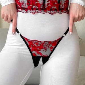 Könnte beinhalten: Schwarze Spitzenunterwäsche mit roter Blumen Stickerei. Die Unterwäsche ist aus einem zarten, durchsichtigen Stoff und hat einen tiefen Ausschnitt.