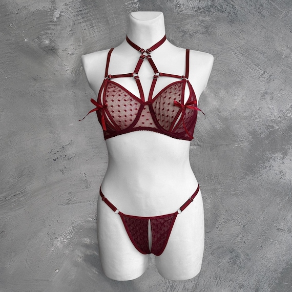 Seductive Lingerie, Open Nipple Bra, Uncensored Lingerie, Open Back  Panties, Sexy See Through Bra, Open Lingerie Set, Cupless Lingerie