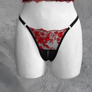 Puede incluir: Ropa interior de encaje negro con bordado floral rojo. La ropa interior tiene una pequeña abertura en la parte delantera.