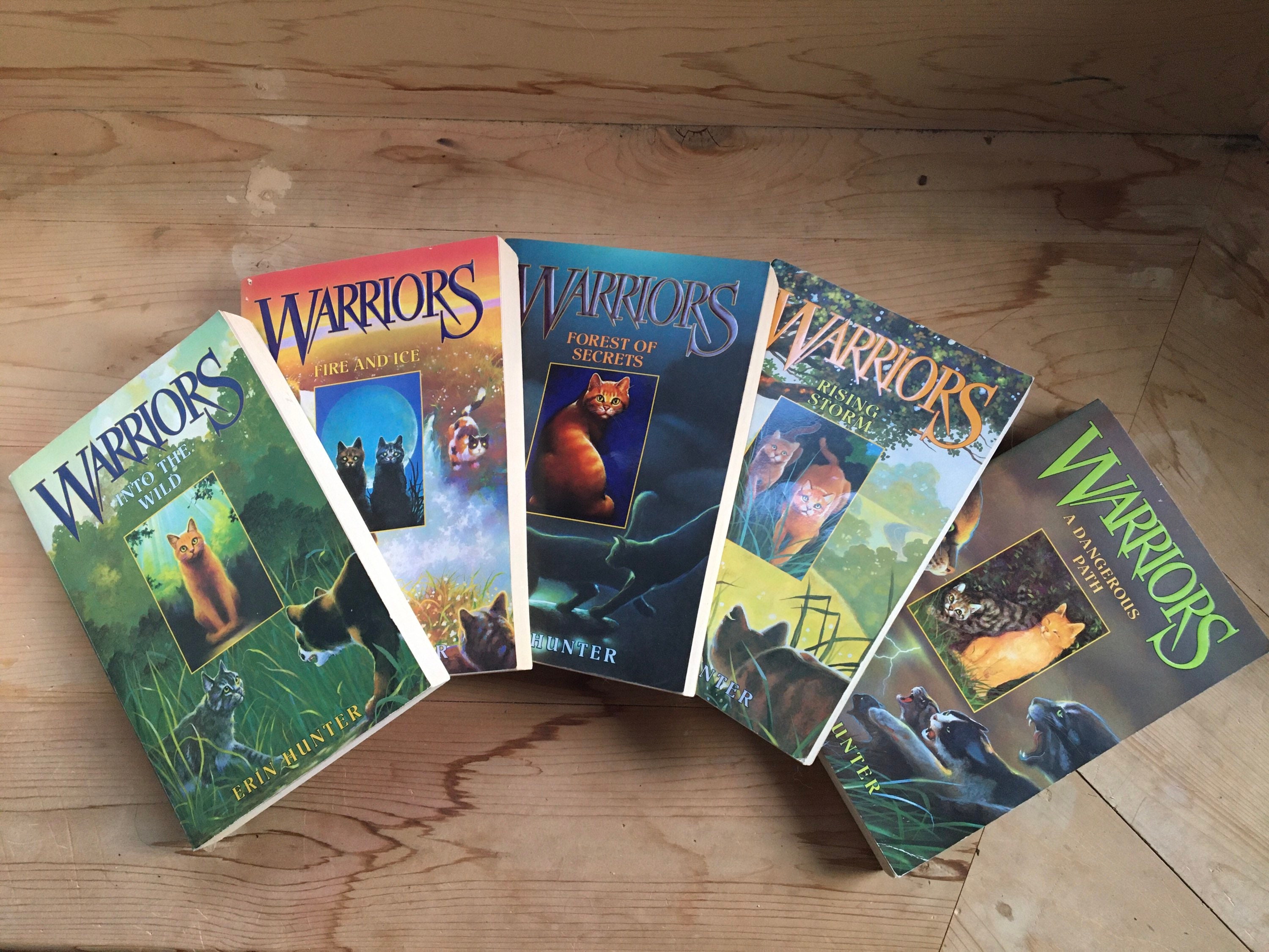 into the wild book erin hunter into the wild book erin hunter