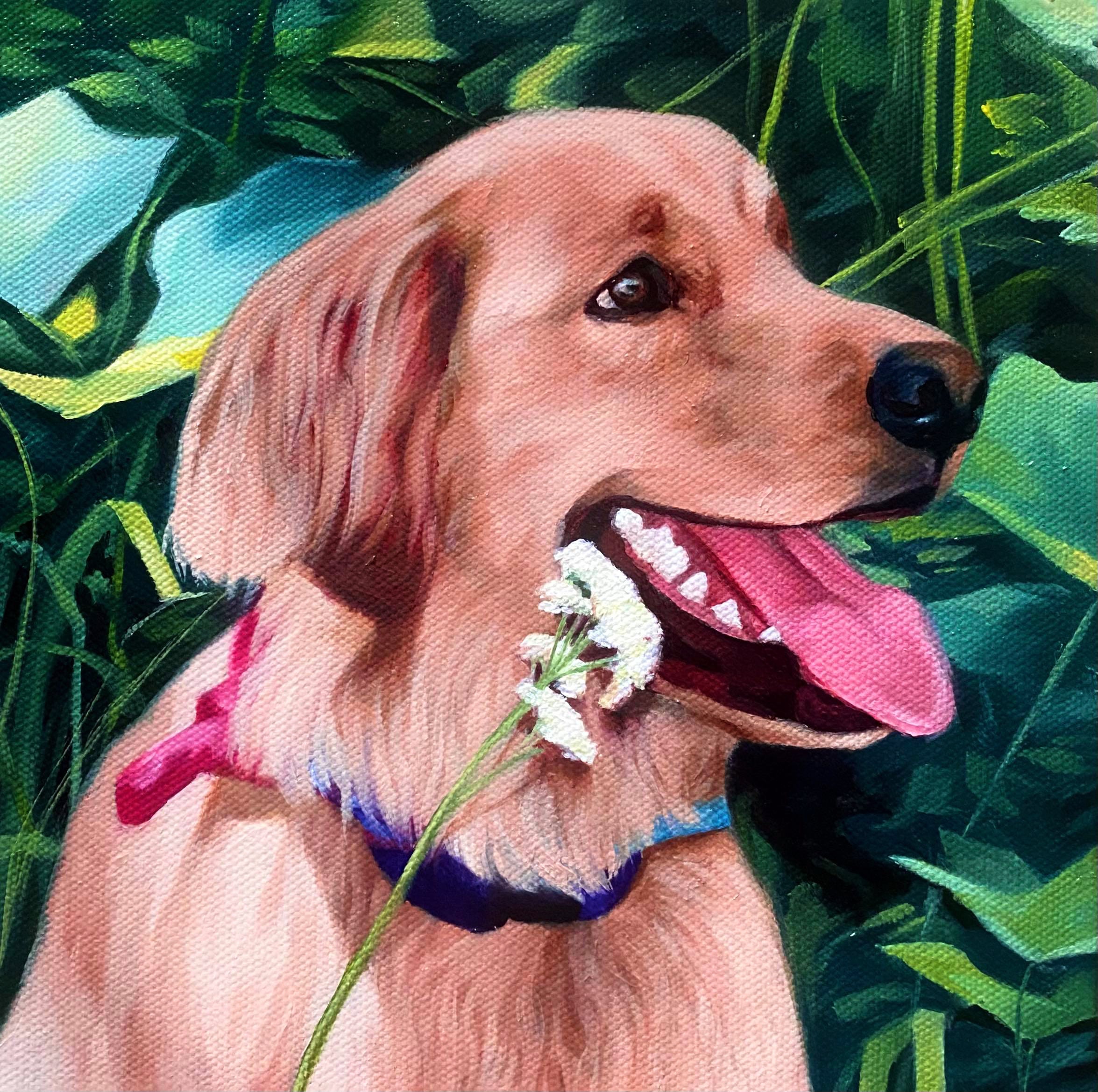 Pet Portrait Oil Painting Pet Oil Painting Hand Painted | Etsy