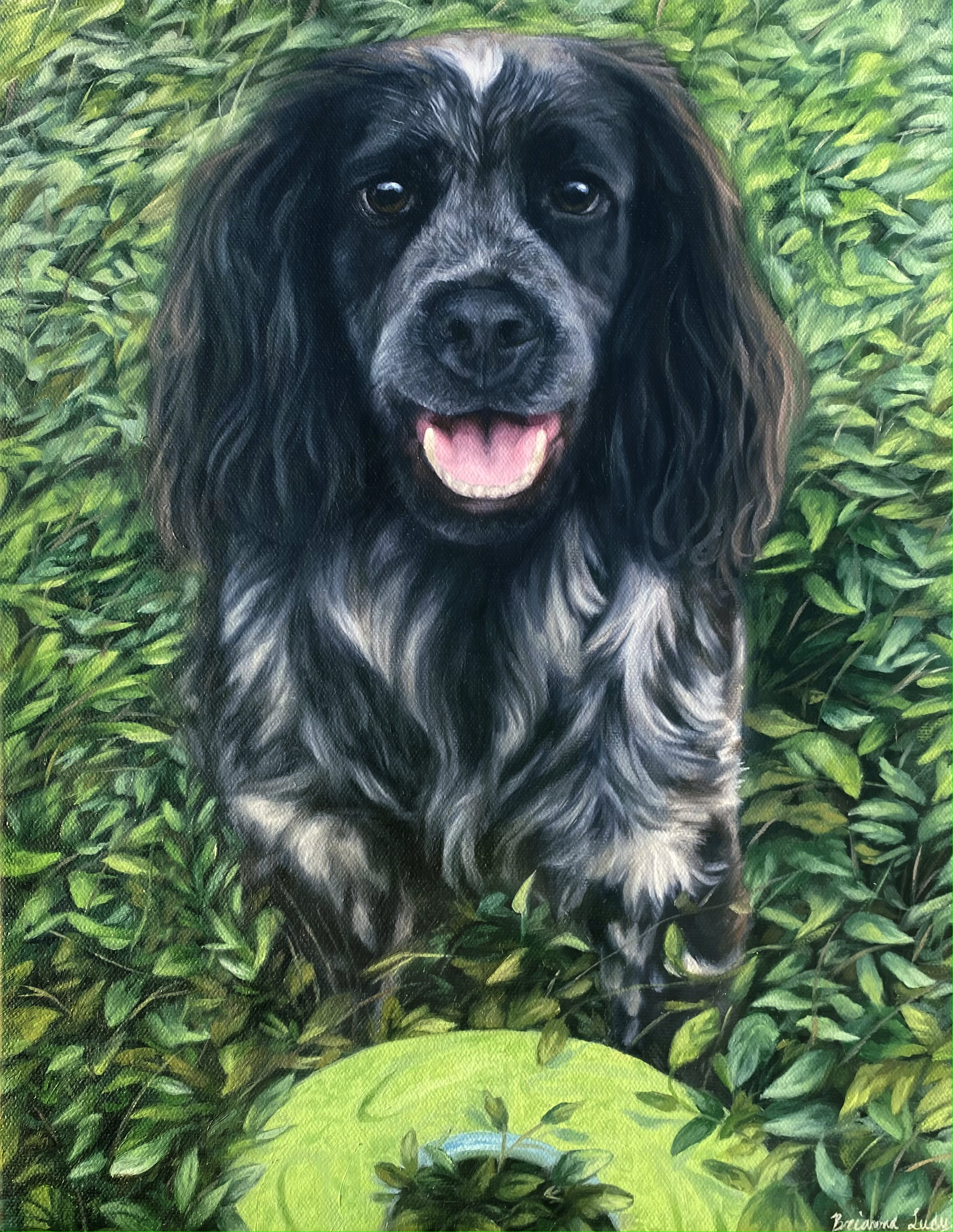 Custom Dog Oil Portrait Paint My Dog Pet Portrait From Etsy