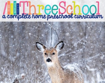 Home Preschool Curriculum | ThreeSchool December | Winter and Gingerbread Unit Study