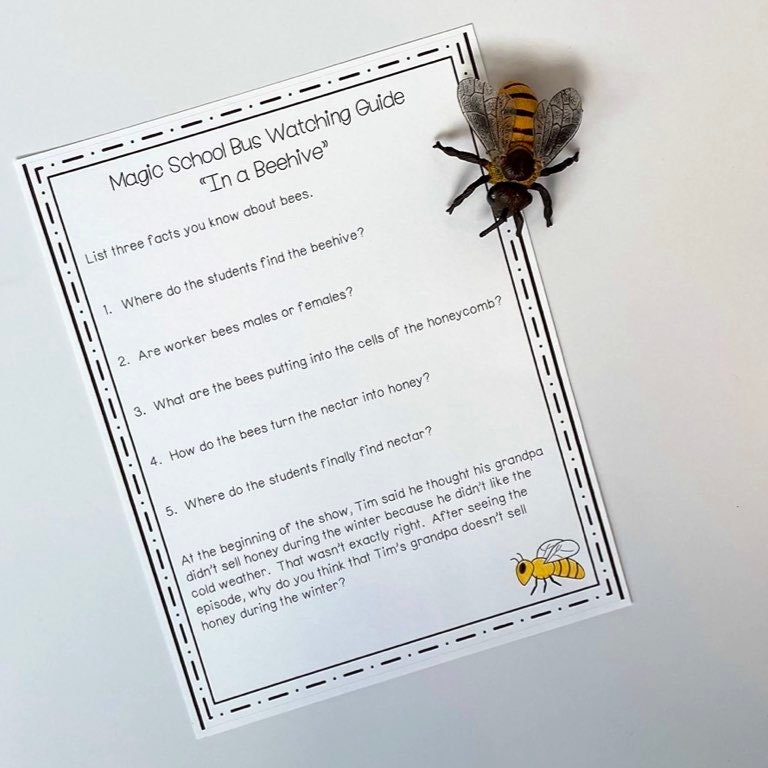 Magic School Bus Episode Guides - Worksheets for ALL Episodes - Etsy