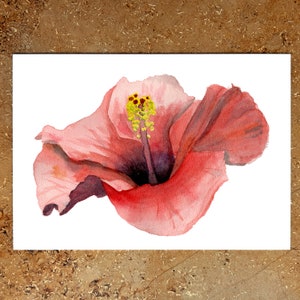 Fleur de carte postale