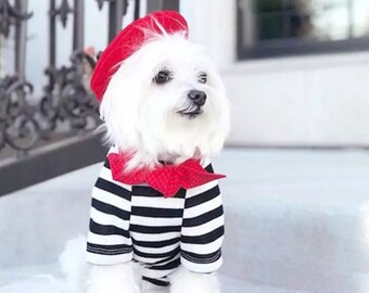 french beret for dogs