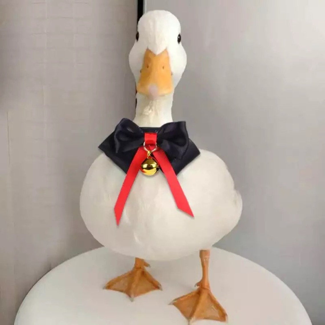 Adjustable Duck Bow Tie Collar with Bell Chicken Goose Etsy