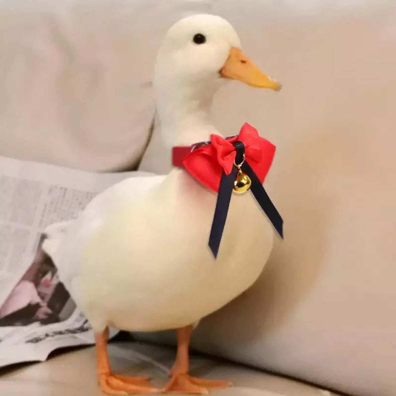 Adjustable Duck Bow Tie Collar with Bell Chicken Goose Etsy