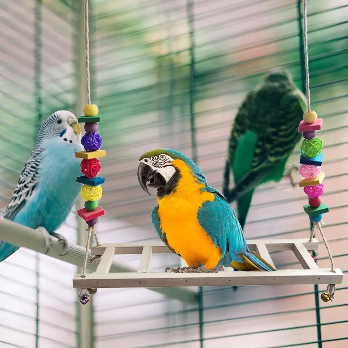 Chicken Swing Bird Swing Parrot Swing Bird Perch Chicken Etsy