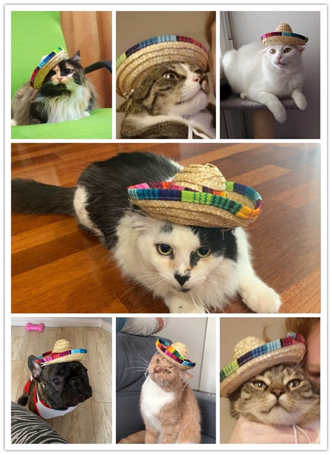 Dog Mexican Hat Cat Mexican Hat Pet Straw Hat Sombrero Sun Etsy