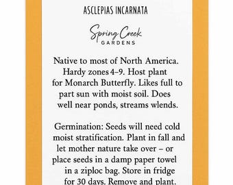 Swamp Milkweed Seeds, Asclepias incarnata, Monarch Butterfly, Host Plant, Native Plant, Pollinator Friendly