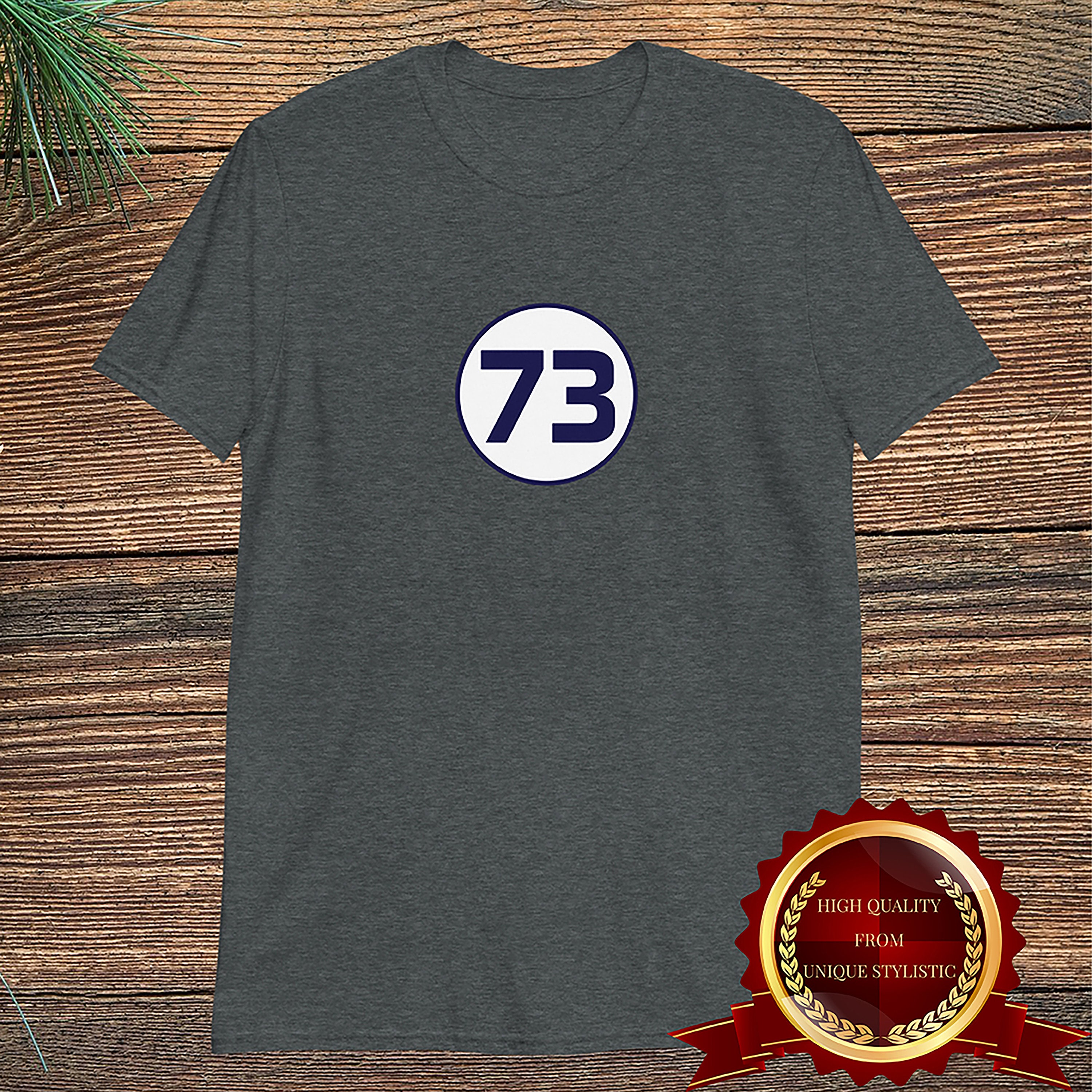 what is the 73 shirt sheldon wears