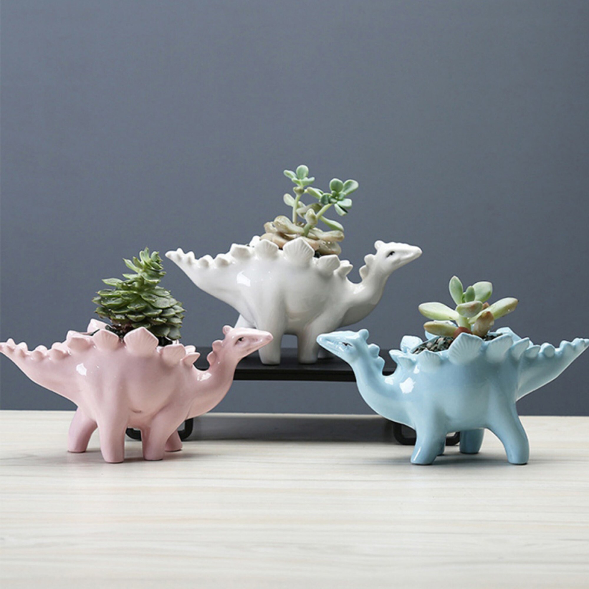Ceramic Dinosaur Planter/ Stegosaurus Flower Pot/ Dinosaur Etsy