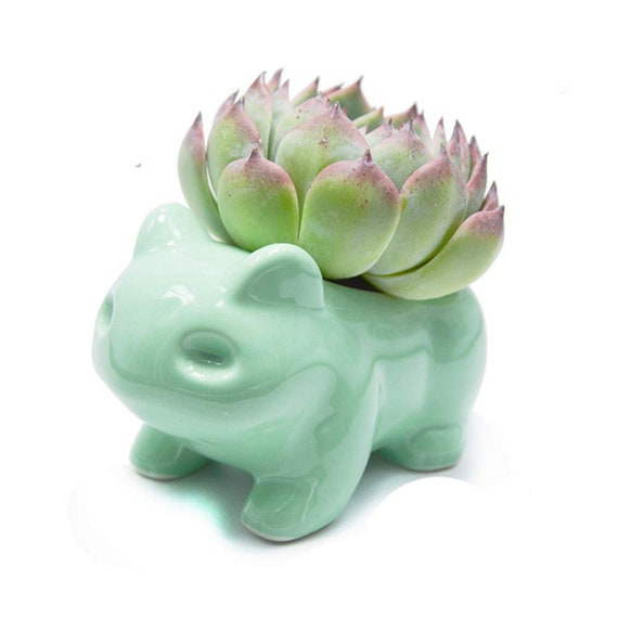 Bulbasaur Succulent Planter Flower pot DIY Painting Art Vase Plant Pot Bulbasaur Bulbasaur Succulent Planter Flower pot DIY Painting Art Vase Plant Pot Bulbasaur