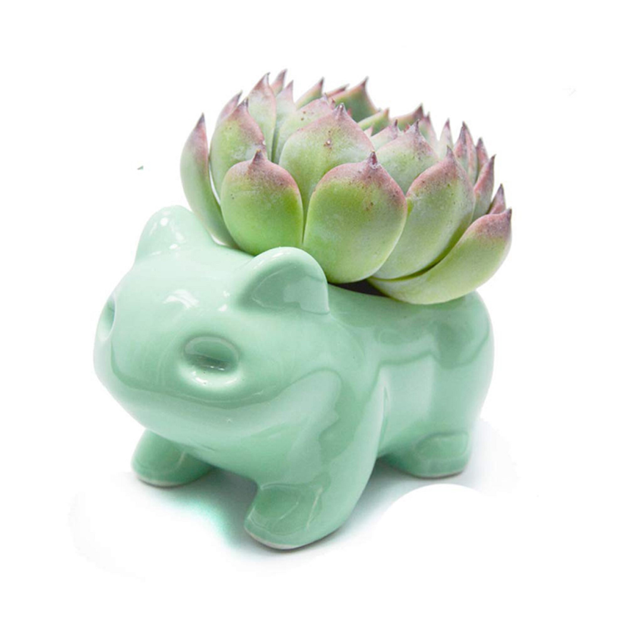 Ceramic Bulbasaur Planter Pot Succulent Flowerpot Home Office Etsy