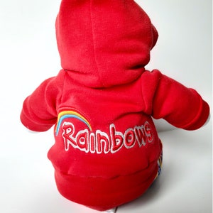 May include: Red plush toy wearing a red hoodie with a rainbow and the word "Rainbows" embroidered on the front.