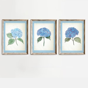 Può includere: Tre stampe incorniciate di fiori di ortensia blu con un bordo a quadri blu e bianco. I fiori sono disegnati in stile vintage.