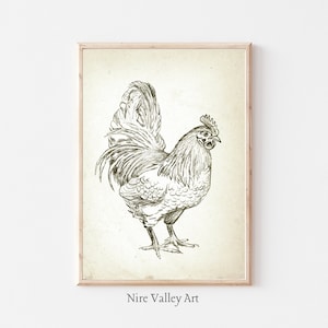 Puede incluir: Un dibujo en blanco y negro de un gallo con una cresta y barbillas grandes. El gallo est&aacute; de pie sobre un fondo beige claro.