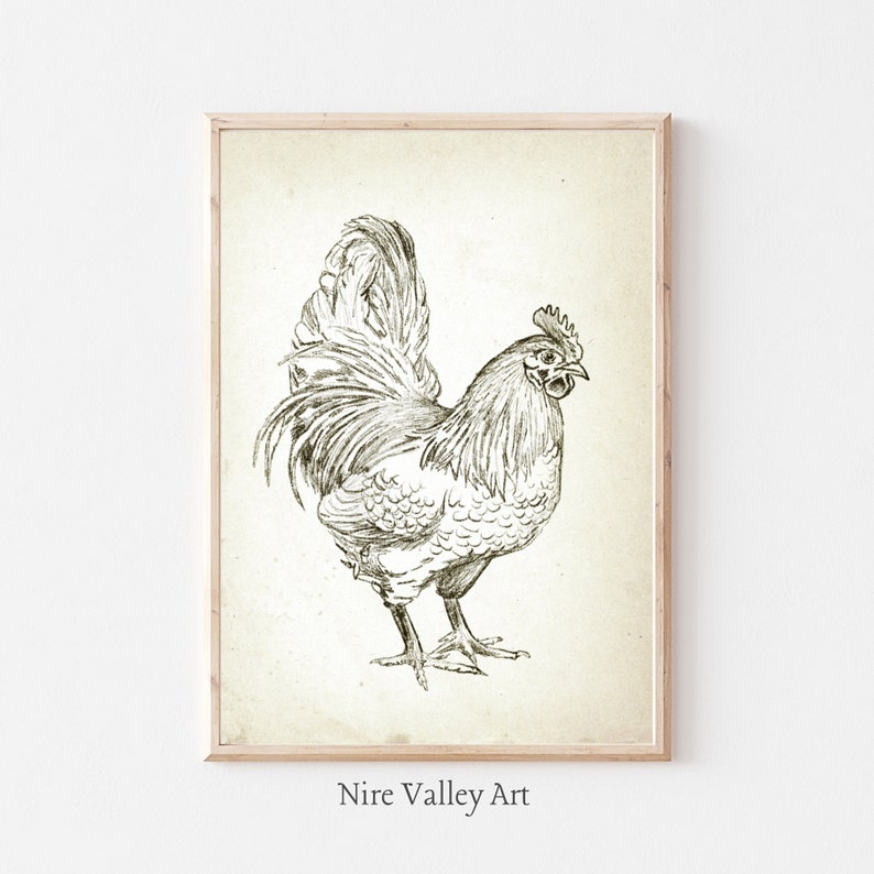 Puede incluir: Un dibujo en blanco y negro de un gallo con una cresta y barbillas grandes. El gallo est&aacute; de pie sobre un fondo beige claro.