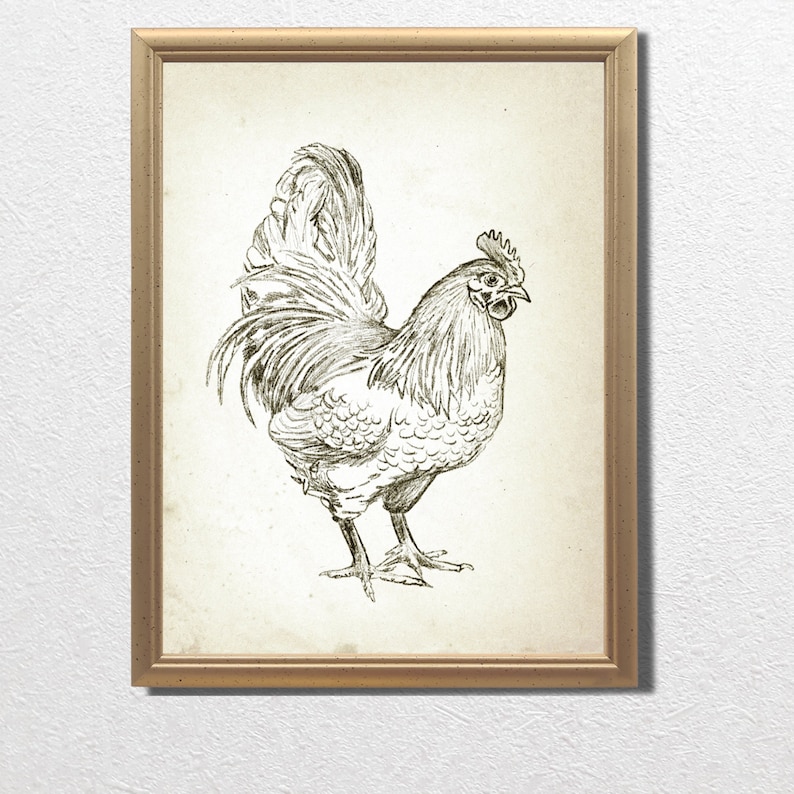 Puede incluir: Un dibujo en blanco y negro de un gallo en un estilo r&uacute;stico simple. El gallo est&aacute; mirando hacia la derecha y tiene una cresta y una papada prominentes. El dibujo est&aacute; sobre un fondo de color crema.