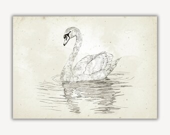 Vintage Swan Print, Nursery Printable Gallery Wall Art, Neutral Sketch Illustration,Antique Wall Decor, Digital Download