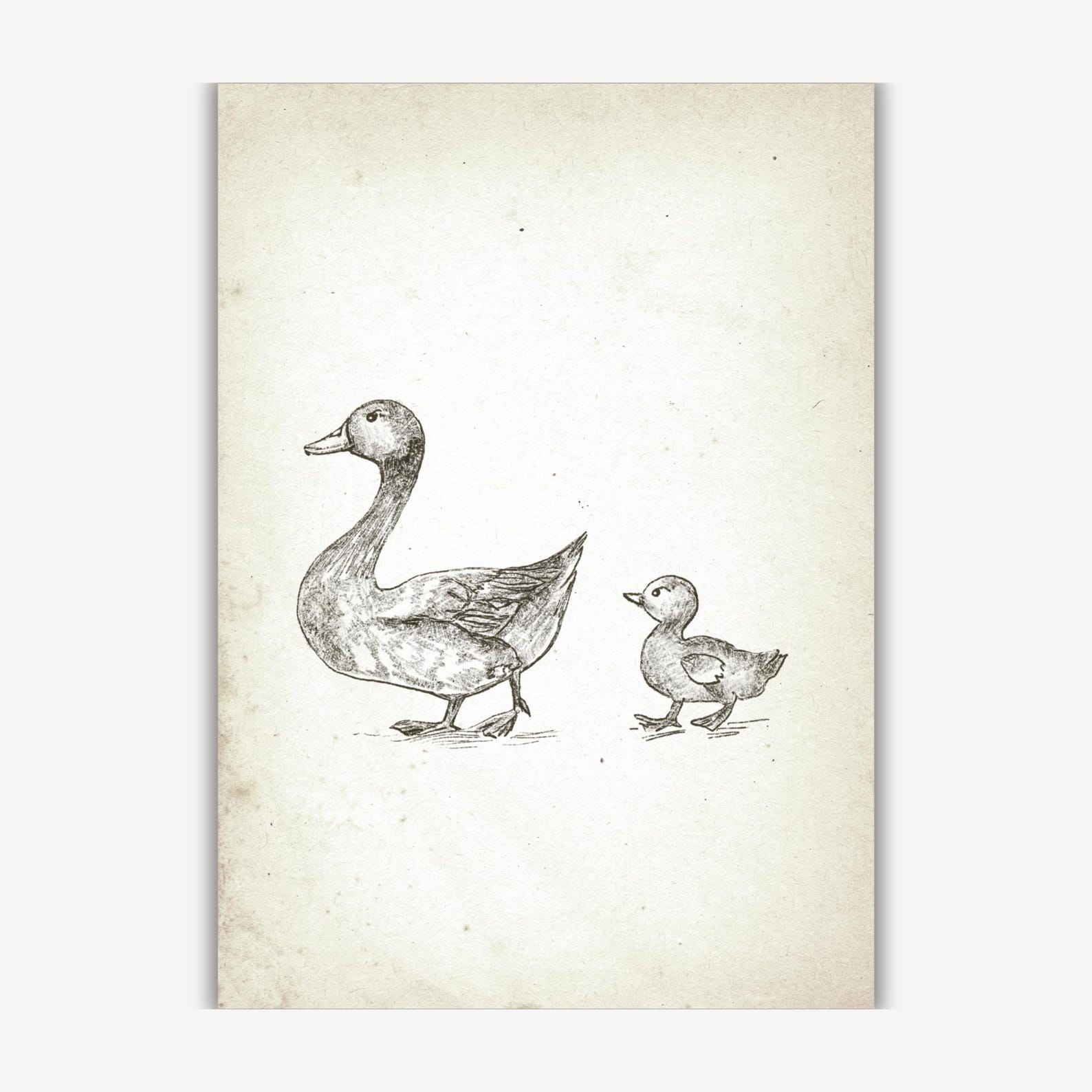 Vintage Mother Duck and Duckling Print, Nursery Gallery Wall Printable ...
