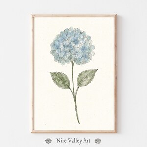 Blue Hydrangea Floral Sketch Wall Art , Vintage Flower Print, Blue Gallery Wall Art, Botanical Fine Art Posters, Neutral Sketch Art Prints